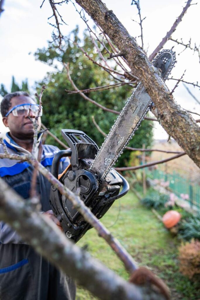 A woodcutter cuts a branch wearing protective goggles