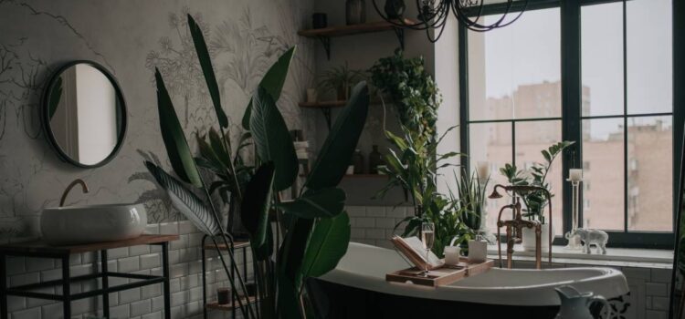 Ideas for decorating a bathroom with plants in 2025
