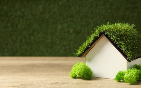 Decorative house with moss on the roof, the concept of an eco house
