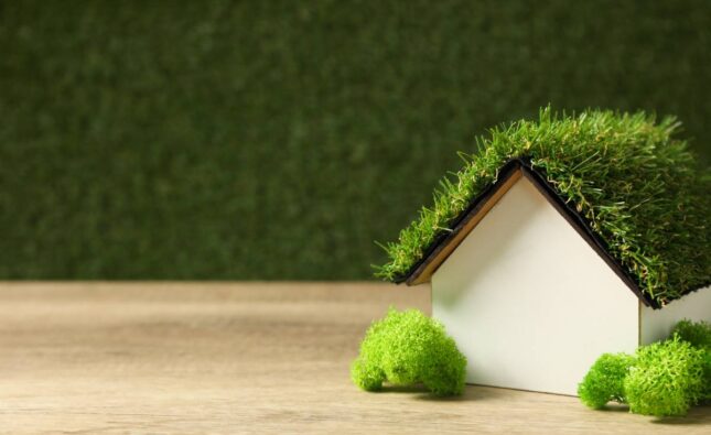 Decorative house with moss on the roof, the concept of an eco house