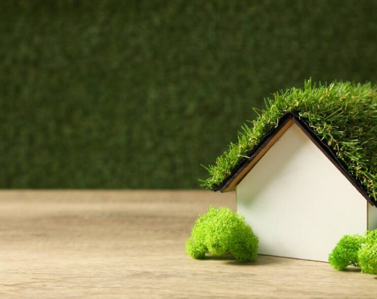 Decorative house with moss on the roof, the concept of an eco house
