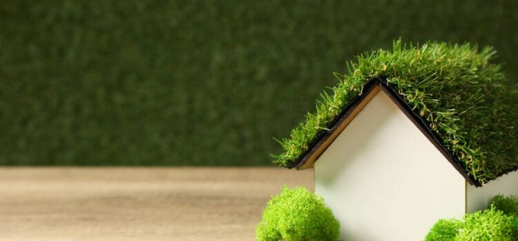 Mental Well-being Tips: The Importance of Home and Green?