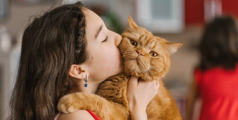 How Pets Show Love: What Every Owner Should Know