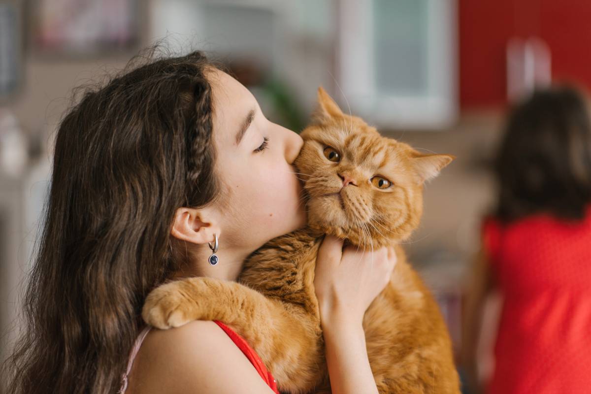Baby girl holds her pet red British cat in her arms, kisses and sits with him on the couch at home