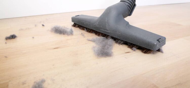 Why Is There Always Dust in My House? Pets & Solutions